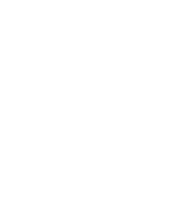 Logo PoCES blanc